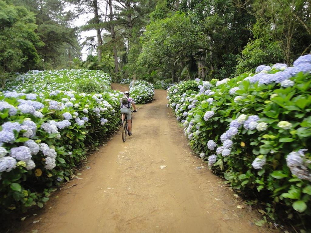 Blue Hill Hotel Timbo  Luaran gambar