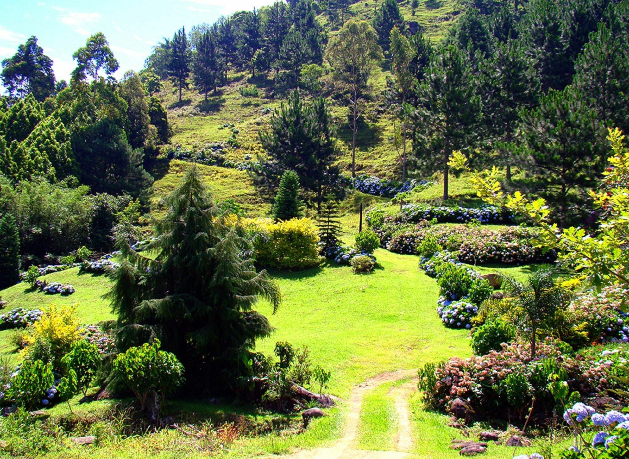 Blue Hill Hotel Timbo  Luaran gambar